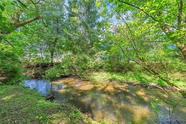116 Spring St, Concord, NY 14141 - photo 40