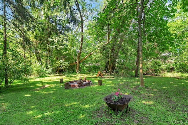 116 Spring St, Concord, NY 14141 - photo 42