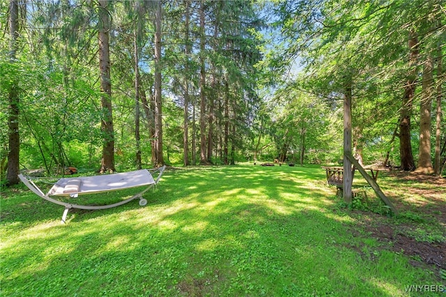 116 Spring St, Concord, NY 14141 - photo 37