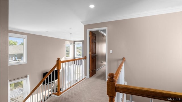 29 Katelyn Ln, Lancaster, NY 14086 - photo 19