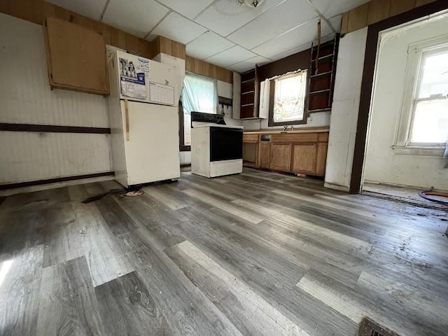 459 Cottage St, Rochester, NY 14611 - photo 9