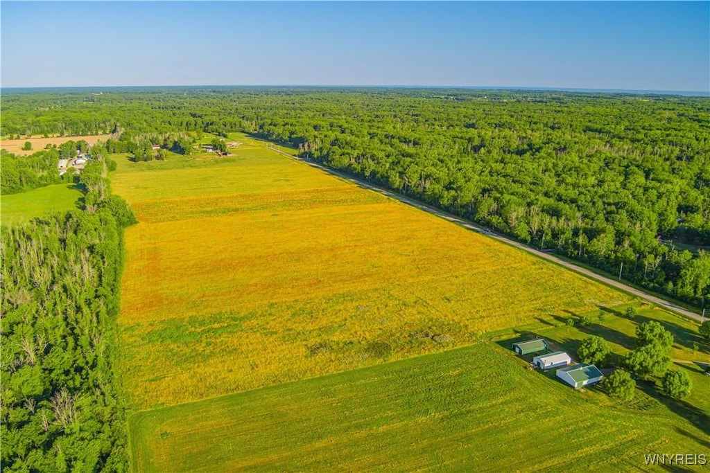 VL Seaman Rd, Hartland, NY 14067 - photo 2