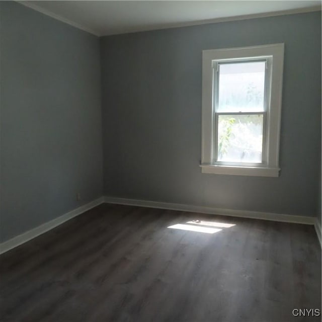 254 Germania Ave, Camillus, NY 13219 - photo 13