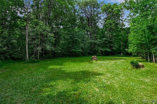 8905 County Rd, Clarence, NY 14032 - photo 6
