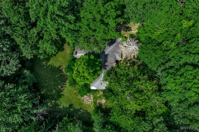 8905 County Rd, Clarence, NY 14032 - photo 7