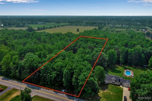 8905 County Rd, Clarence, NY 14032 - photo 8