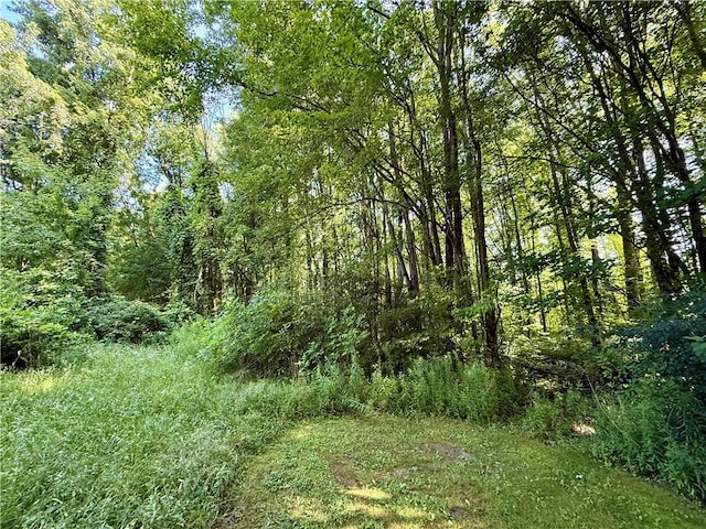 7107 Jackson Hill Rd, Arcadia, NY 14513 - photo 19