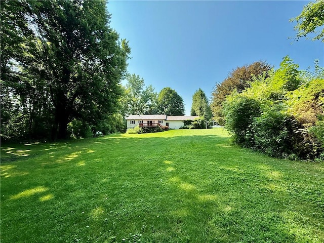 7107 Jackson Hill Rd, Arcadia, NY 14513 - photo 20
