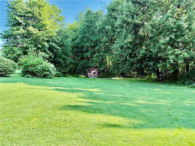 7107 Jackson Hill Rd, Arcadia, NY 14513 - photo 22