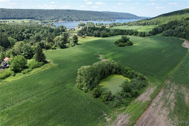 00 Hunt Rd, Deruyter, NY 13052 - photo 2