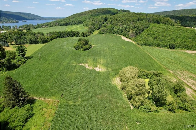 00 Hunt Rd, Deruyter, NY 13052 - photo 6
