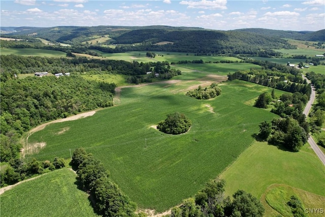 00 Hunt Rd, Deruyter, NY 13052 - photo 10