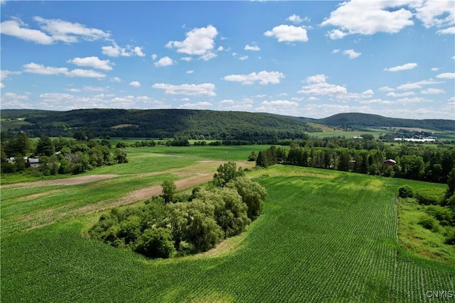 00 Hunt Rd, Deruyter, NY 13052 - photo 12