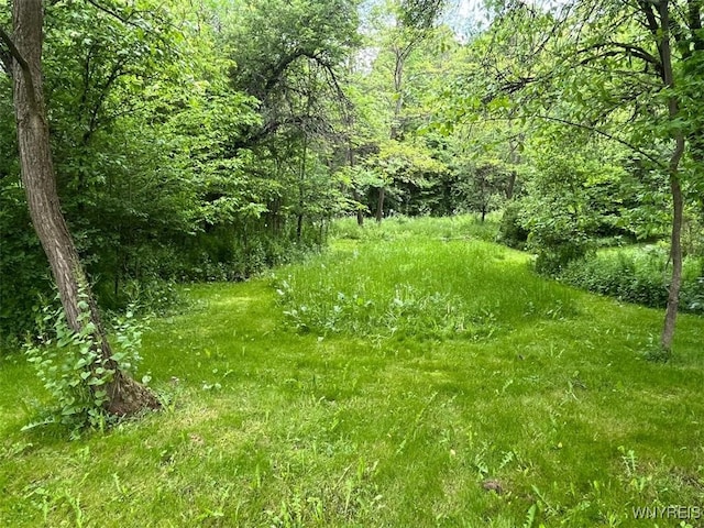 7651 New Hudson Rd, New Hudson, NY 14717 - photo 13