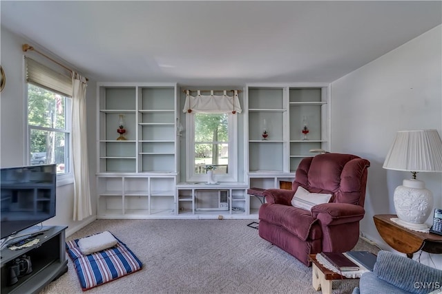 1042 E Joseph St, Cape Vincent, NY 13618 - photo 15