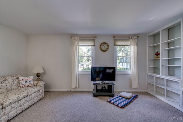 1042 E Joseph St, Cape Vincent, NY 13618 - photo 19