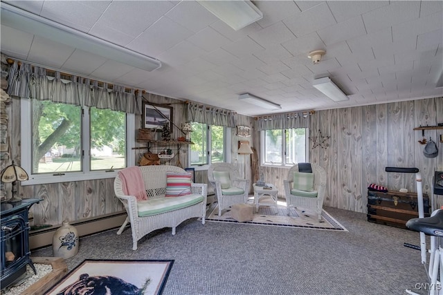 1042 E Joseph St, Cape Vincent, NY 13618 - photo 32