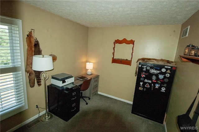 7293 Griswold Rd, Leroy, NY 14416 - photo 23