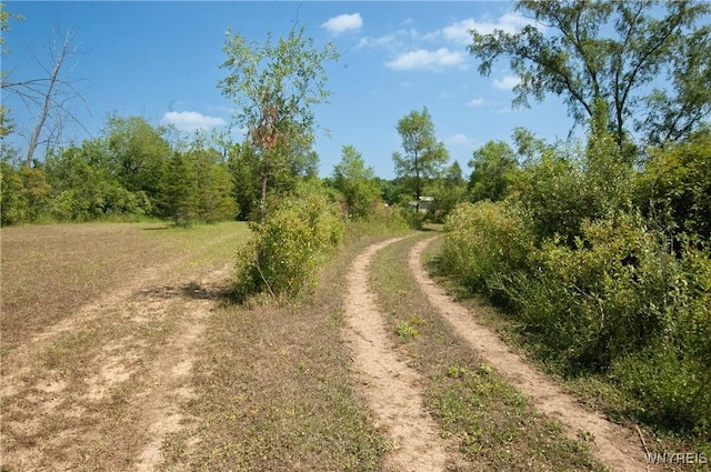 7293 Griswold Rd, Leroy, NY 14416 - photo 29