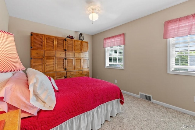 4409 Cleveland Rd, Onondaga, NY 13215 - photo 28
