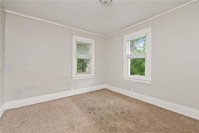 175 Bartlett St, Rochester, NY 14611 - photo 21