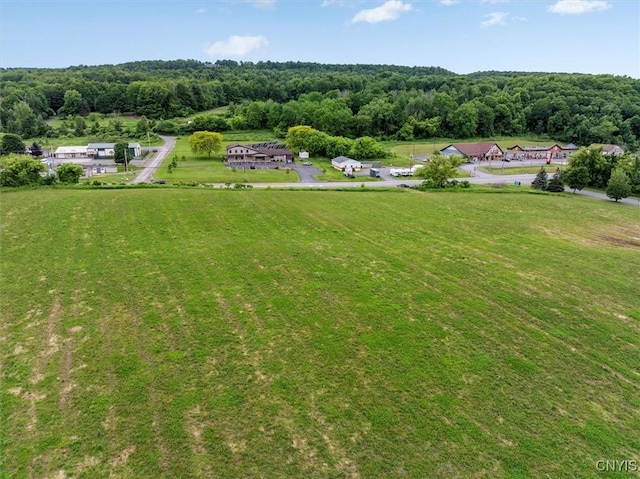 LOT58 Genesee, Sullivan, NY 13037 - photo 1