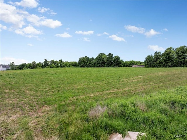 LOT58 Genesee, Sullivan, NY 13037 - photo 2
