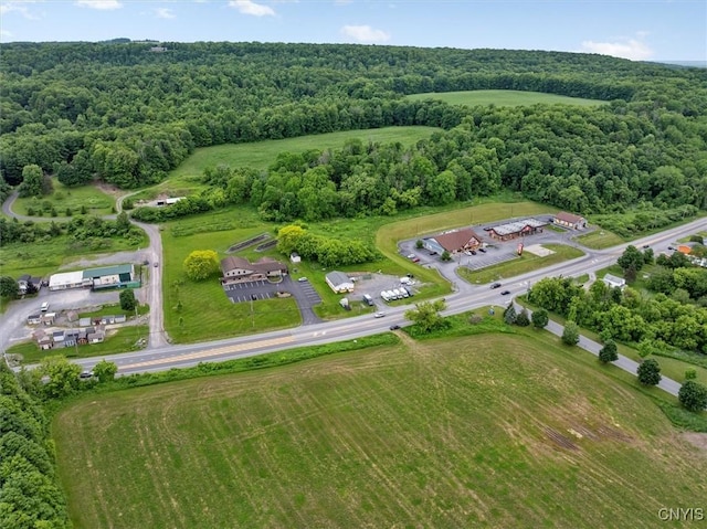 LOT58 Genesee, Sullivan, NY 13037 - photo 6