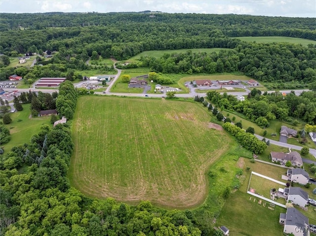 LOT58 Genesee, Sullivan, NY 13037 - photo 8