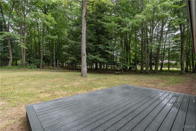 108 Stafford Dr, Rutland, NY 13612 - photo 48