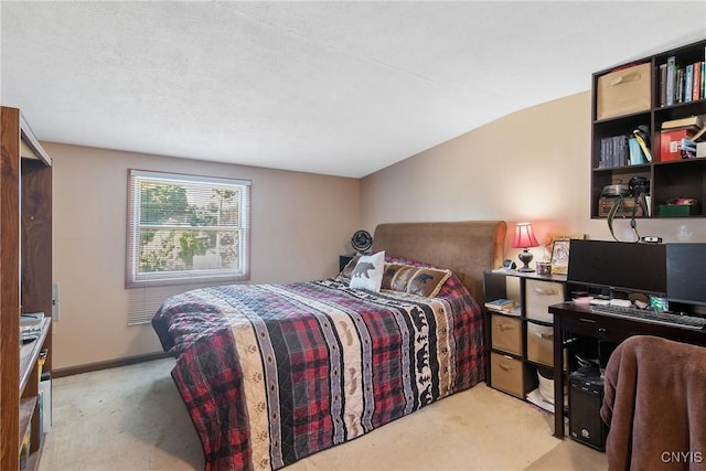105 Horseshoe Dr, Geddes, NY 13219 - photo 20