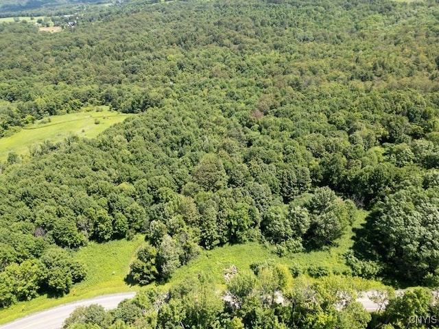 989 Robinson Rd, Warren, NY 13407 - photo 2
