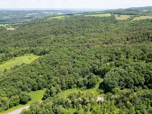 989 Robinson Rd, Warren, NY 13407 - photo 3