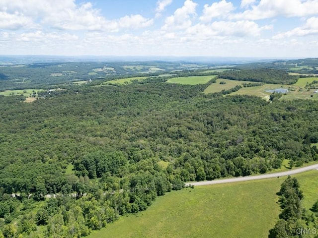 989 Robinson Rd, Warren, NY 13407 - photo 4