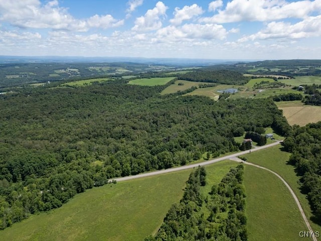 989 Robinson Rd, Warren, NY 13407 - photo 5