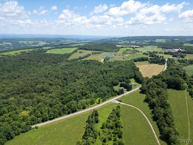 989 Robinson Rd, Warren, NY 13407 - photo 8