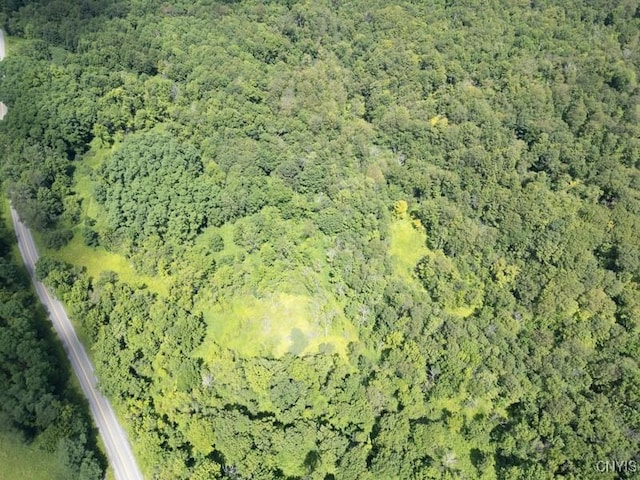 989 Robinson Rd, Warren, NY 13407 - photo 12