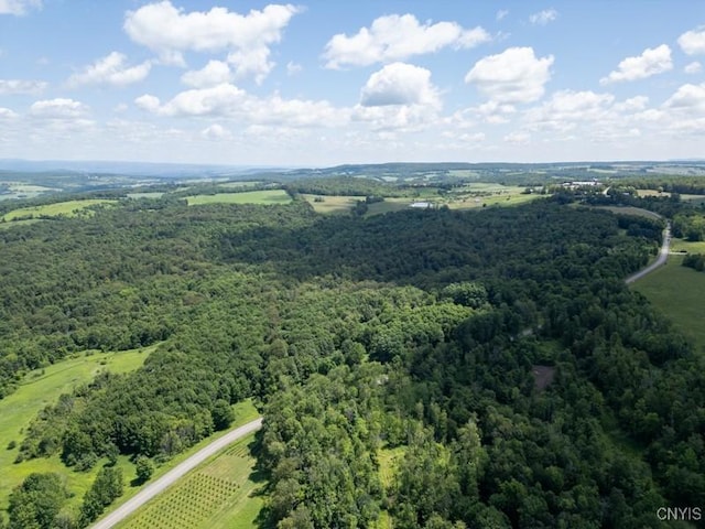989 Robinson Rd, Warren, NY 13407 - photo 14