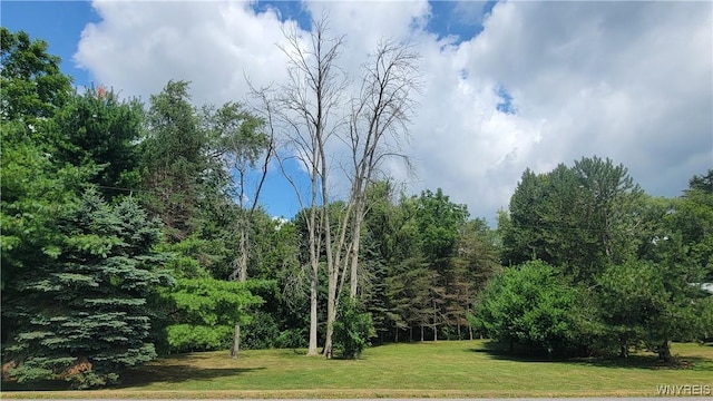 3701 S Main Street Rd, Batavia, NY 14020 - photo 4