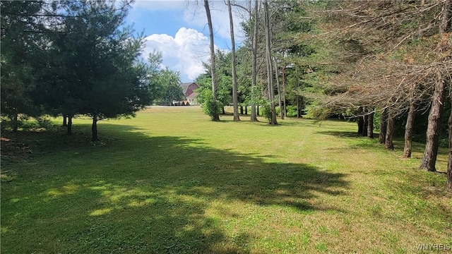 3701 S Main Street Rd, Batavia, NY 14020 - photo 5