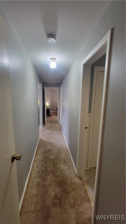 3701 S Main Street Rd, Batavia, NY 14020 - photo 28