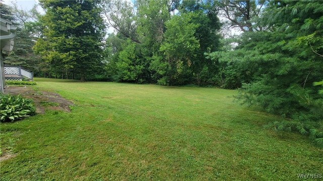 3701 S Main Street Rd, Batavia, NY 14020 - photo 34