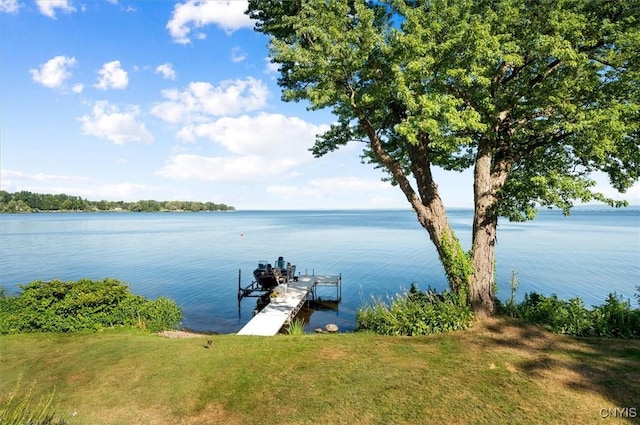 45 Willard Dr, Constantia, NY 13028 - photo 43
