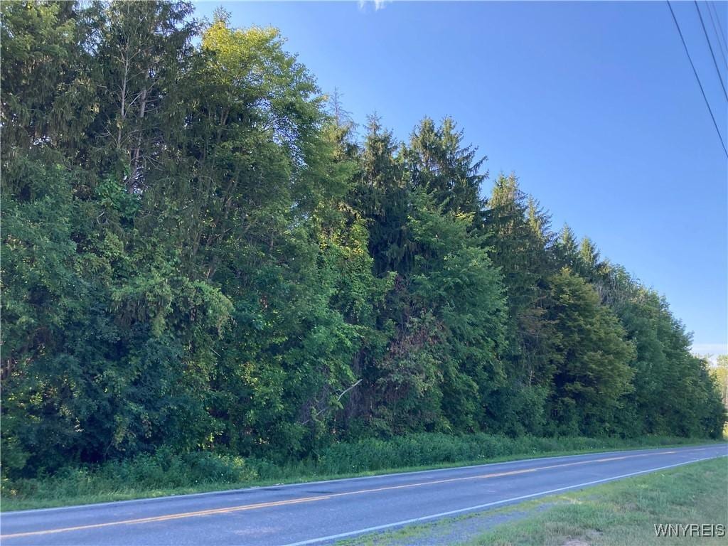 Brucker Rd, Newstead, NY 14001 - photo 2