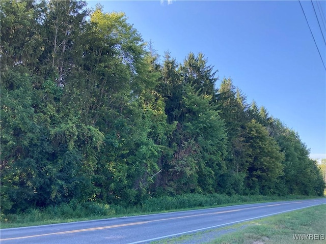 Brucker Rd, Newstead, NY 14001 - photo 2