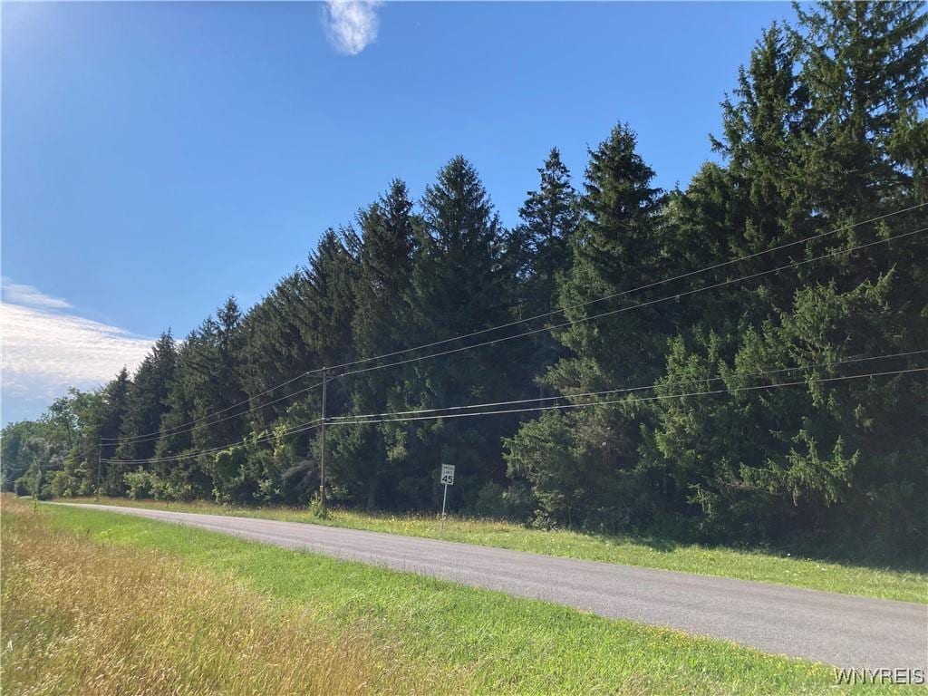 Brucker Rd, Newstead, NY 14001 - photo 3