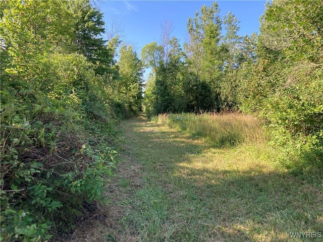 Brucker Rd, Newstead, NY 14001 - photo 1