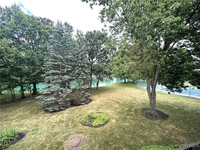354 Old Meadow Dr, Amherst, NY 14051 - photo 23