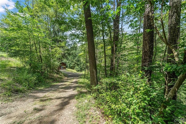 5059 Mcmaster Rd, Cameron, NY 14819 - photo 32
