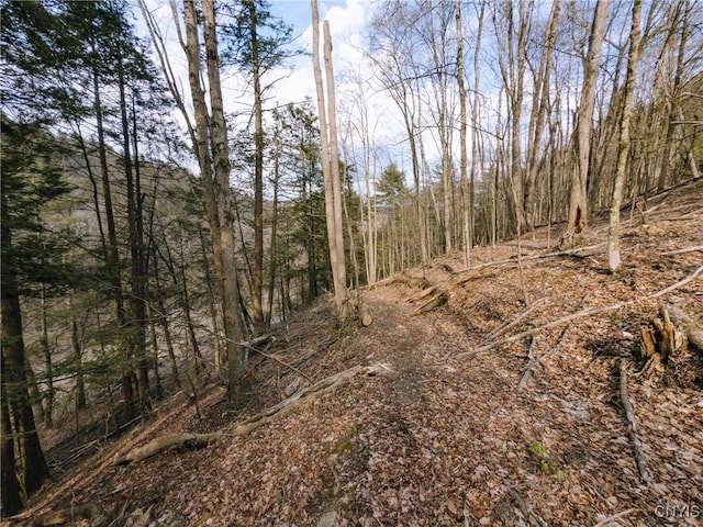 5059 Mcmaster Rd, Cameron, NY 14819 - photo 35